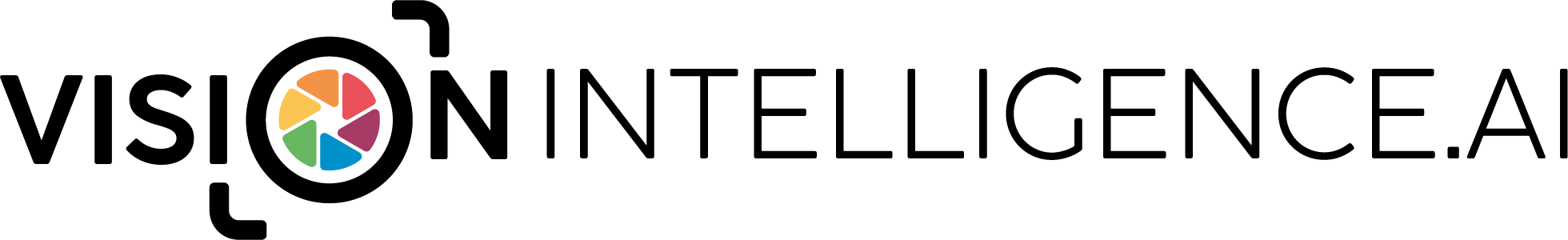 Vision Intelligence